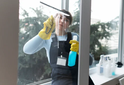 Nettoyage de vitres intérieures et extérieures à Saint-Cyr-au-Mont-d'Or
